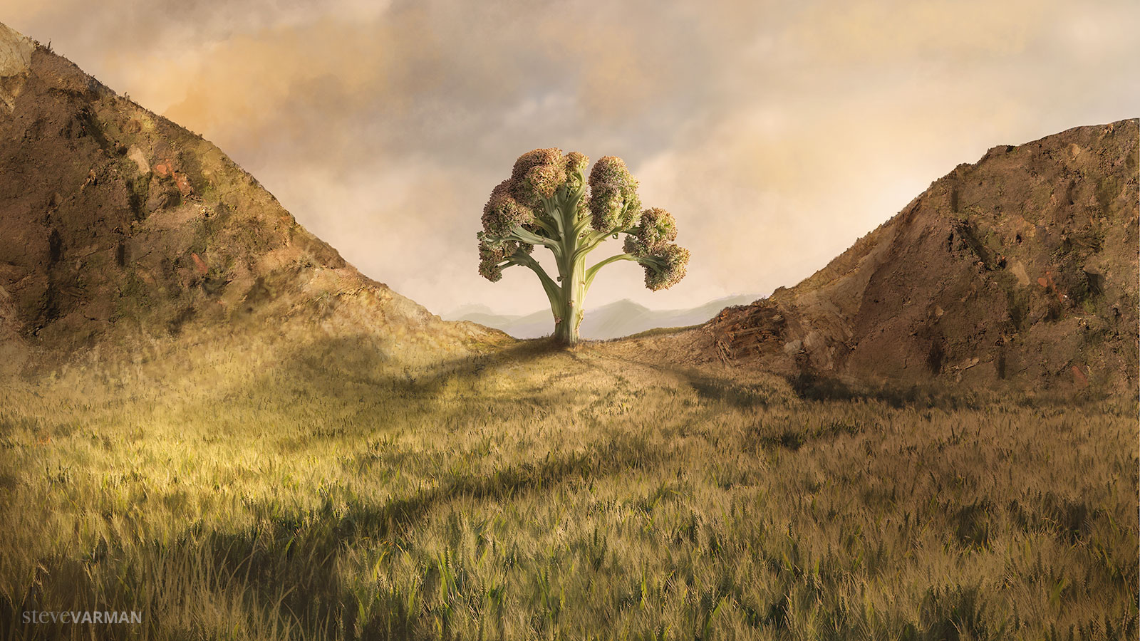 Sycamore Gap (Broccoli)