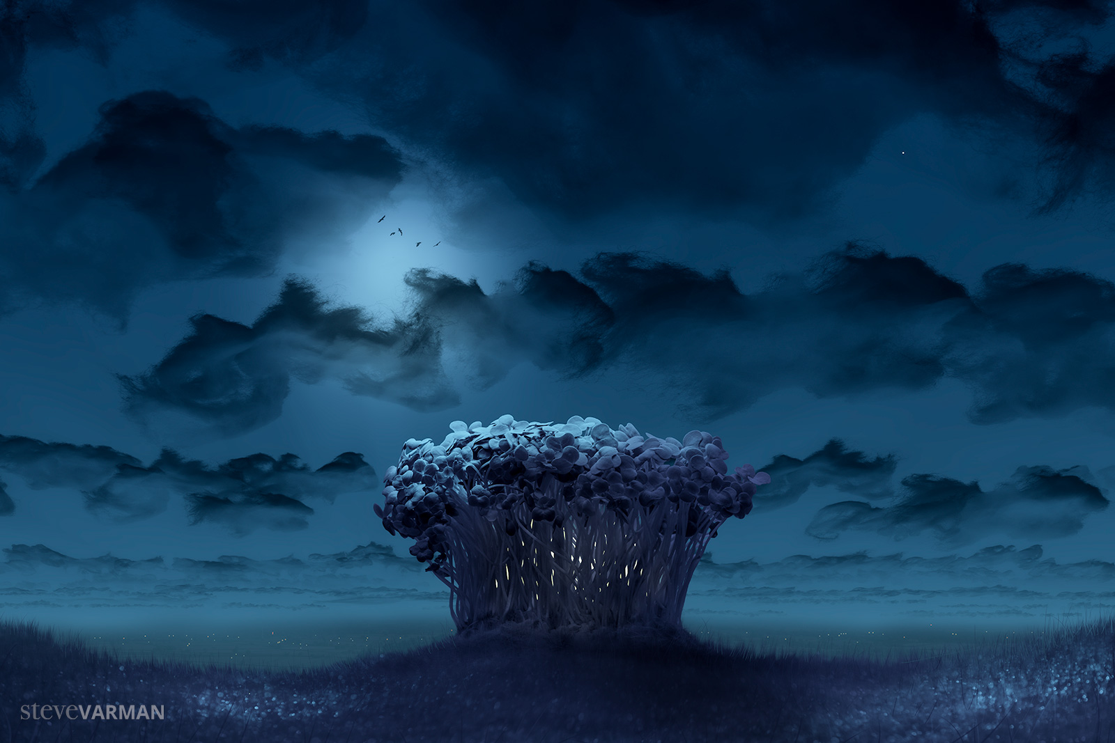 Cress cotton wool clouds